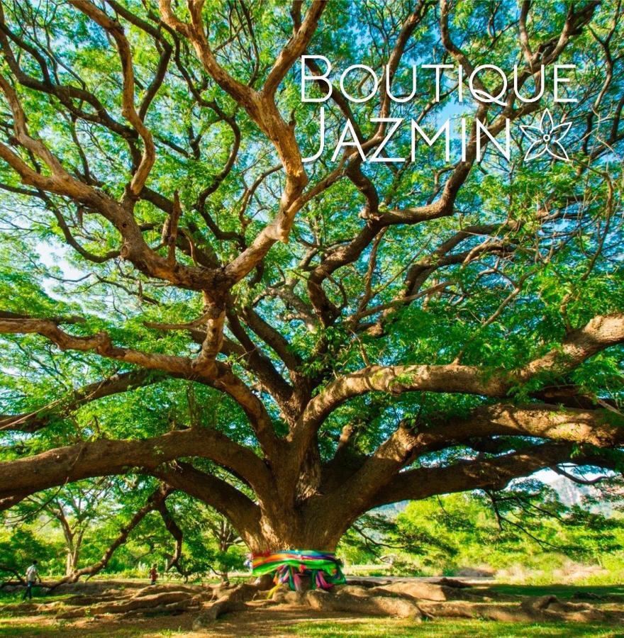 阿利坎特Boutique Jazmin公寓 外观 照片